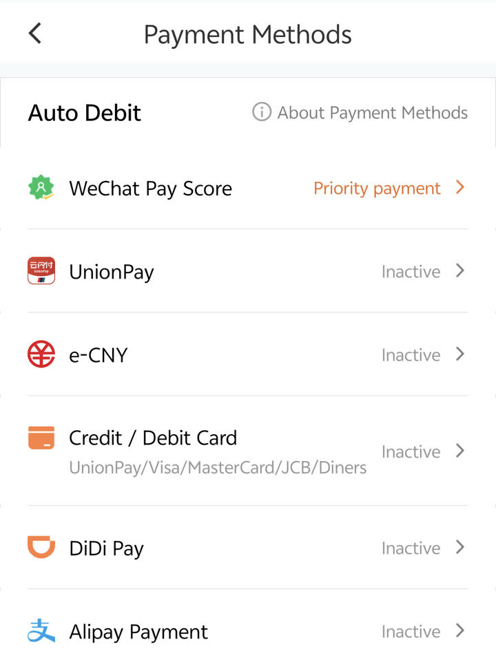 DiDi payment methods settings screen showing supported credit card networks and payment options